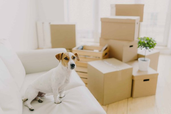 comment bien choisir vos vêtements de cyclisme pour un confort optimal